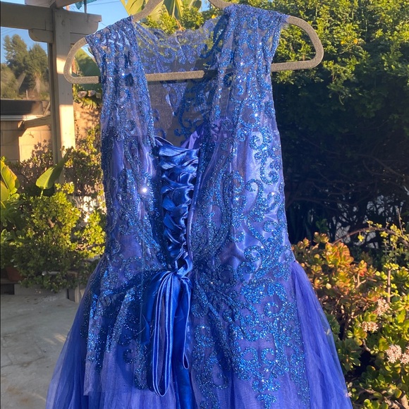 Royal Blue Lace & Tulle Floor-Length Ball Gown with Built-In Petticoat - Picture 15 of 17